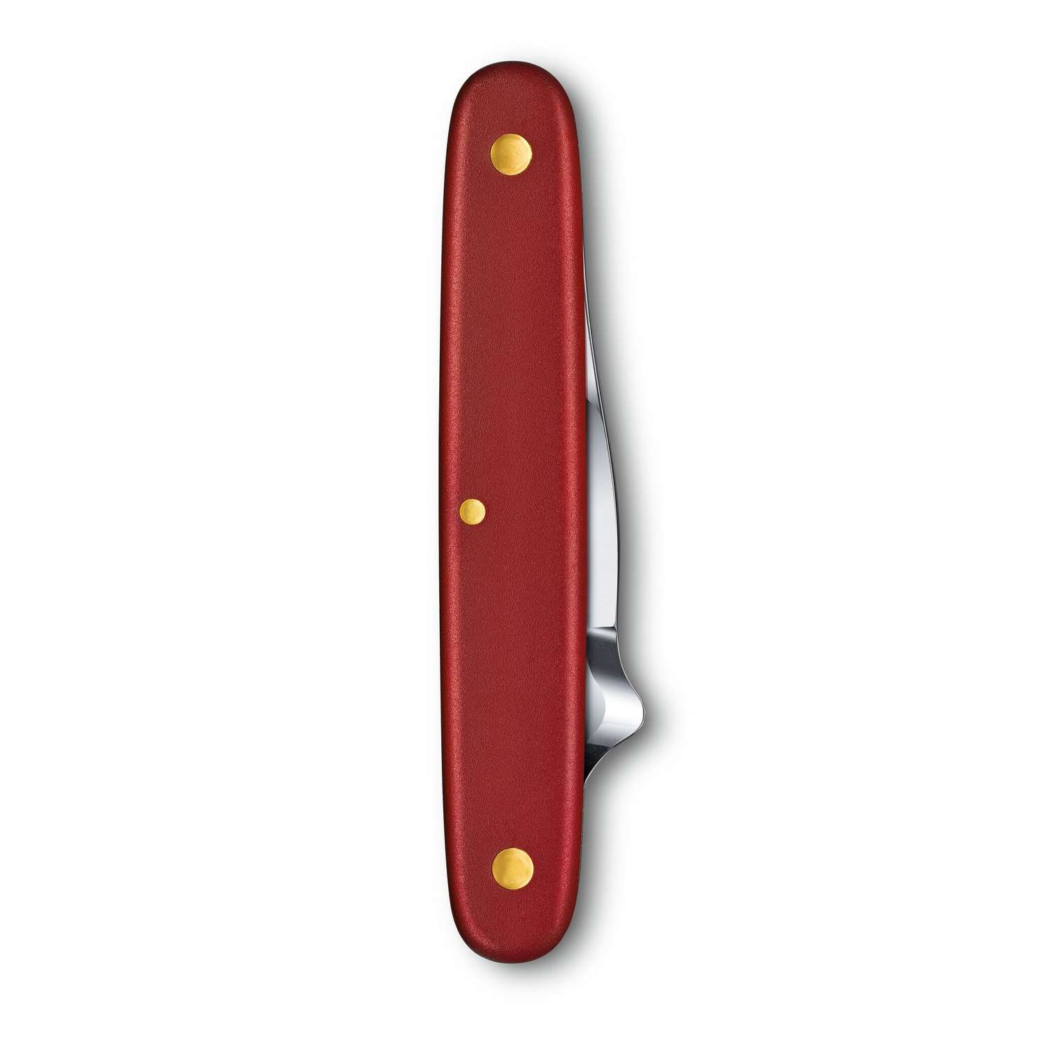 Victorinox Budding Knife Combi S Swiss Army Knife 100 mm 2 Functions Red 3.9040