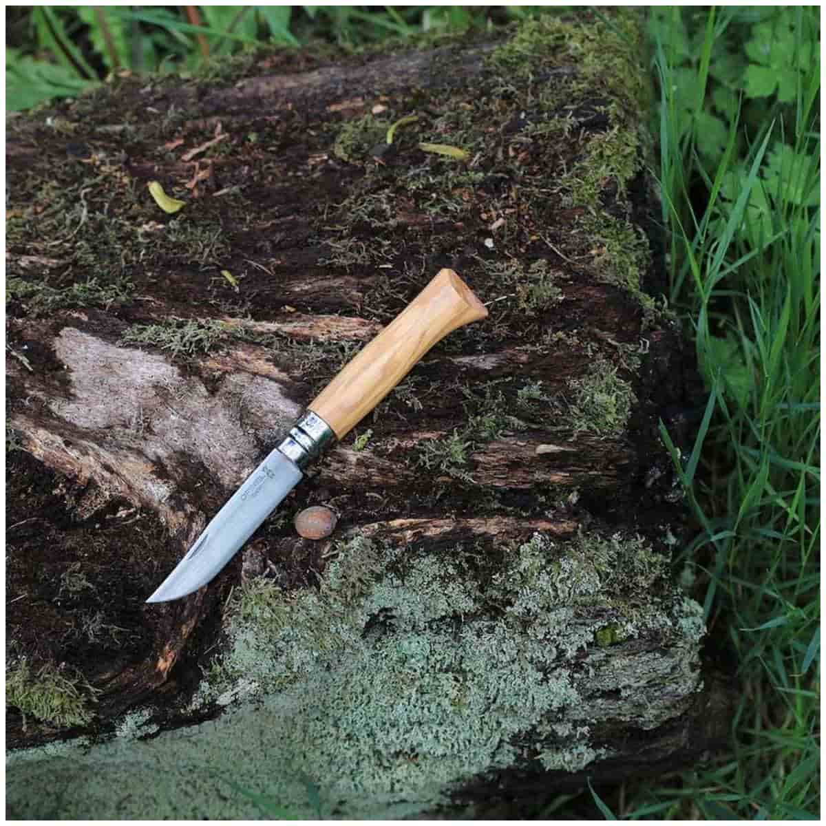 Opinel Pocket Knife 8.5 cm Olive Wood Handle and Steath in a Wooden Gift Box With Glass Lid No 8 Inox 001004