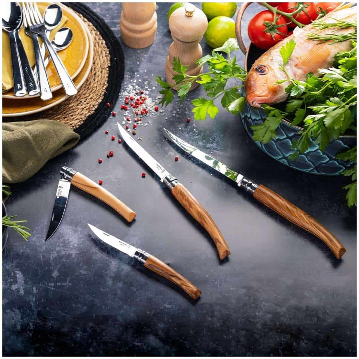 Opinel Pocket Knife 10 cm Olive Wood Handle No 10 Slim 002562