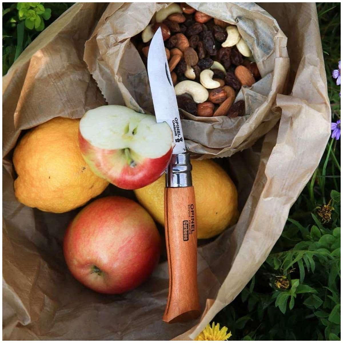 Opinel Pocket Knife 9 cm Beech Wood Handle No 9 Carbon 113090