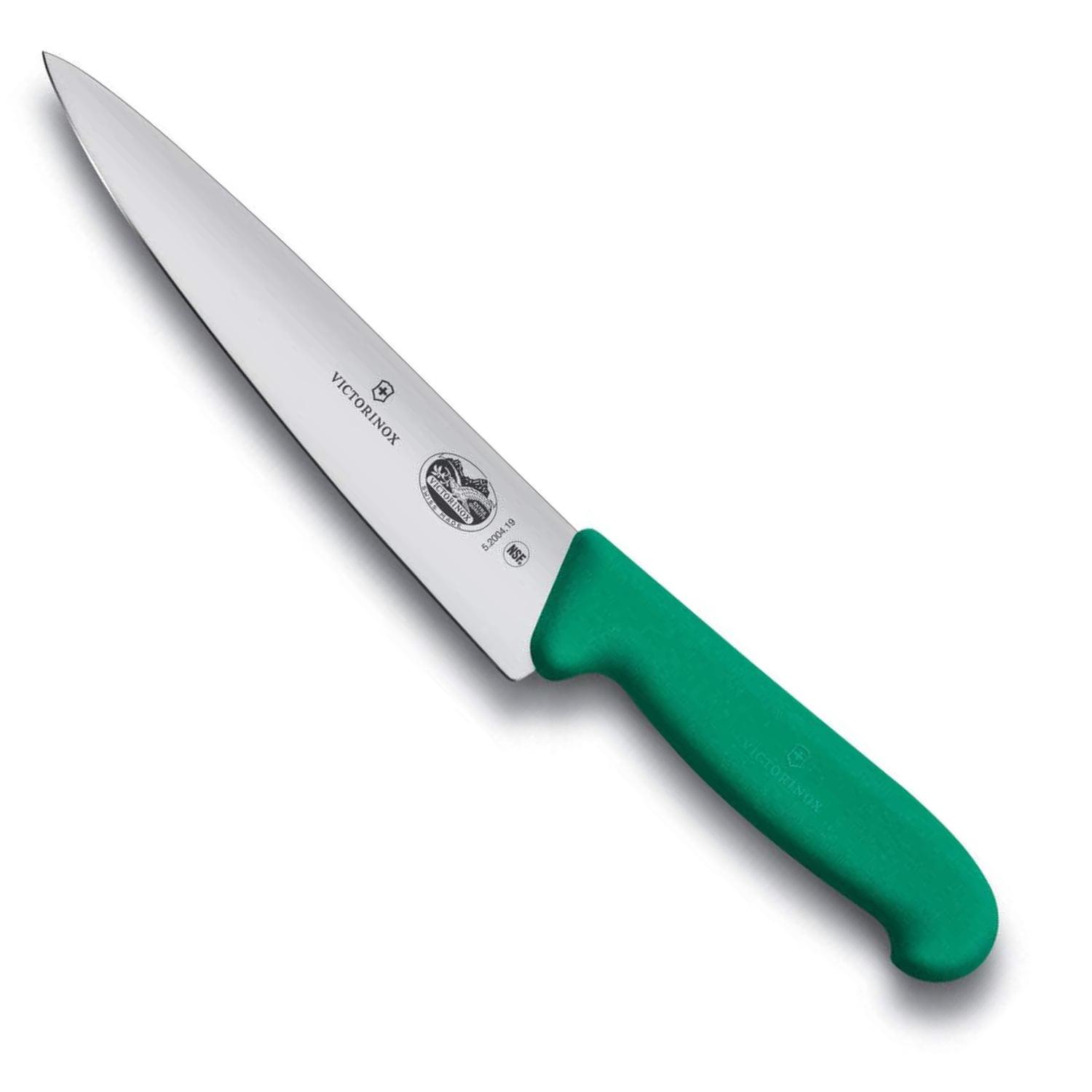 Victorinox Chef's Knife 25 cm Fibrox Green Handle 5.2004.25