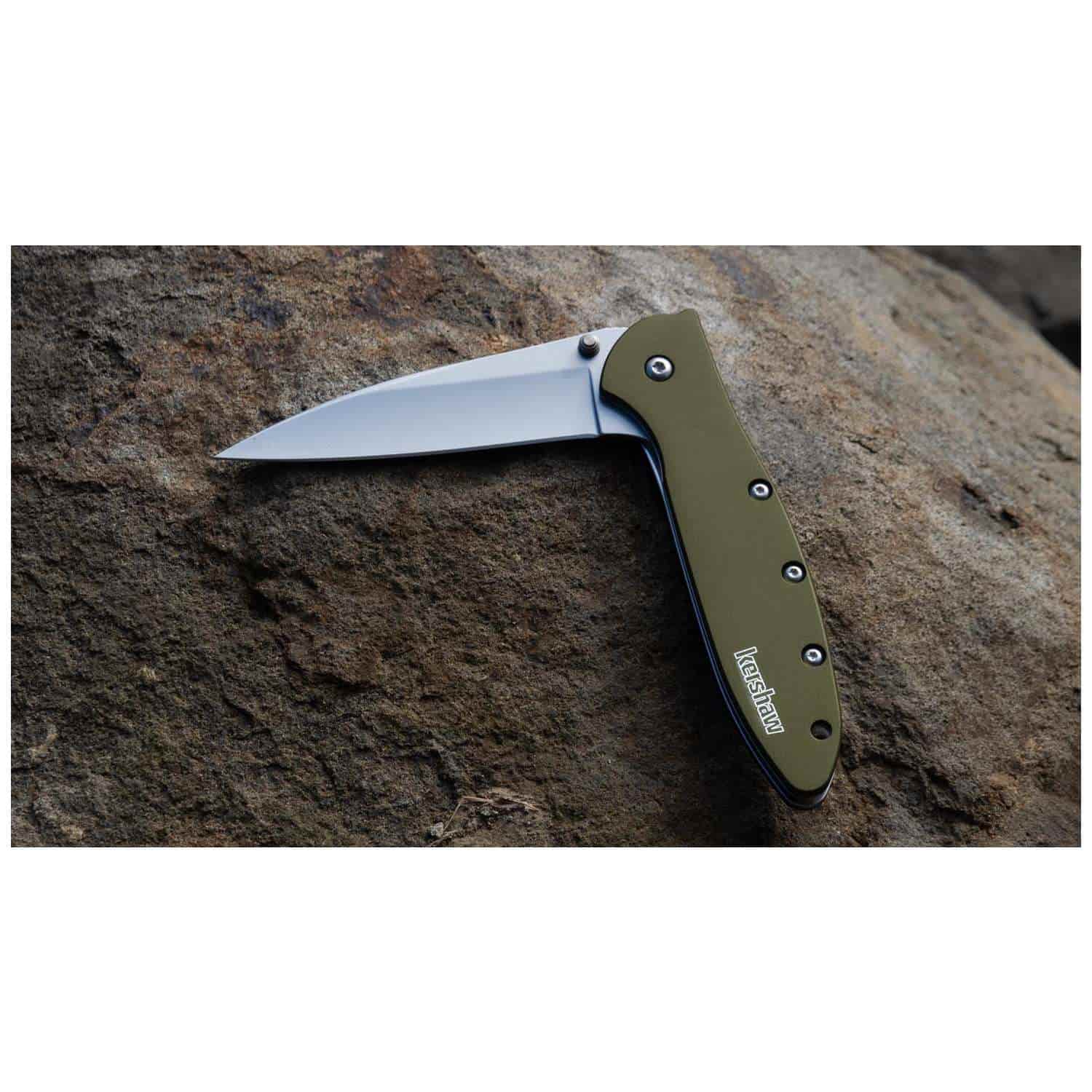 Kershaw Leek Bead-Blasted Pocket Knife 8 cm Olive Handle 68 gr 1660OL