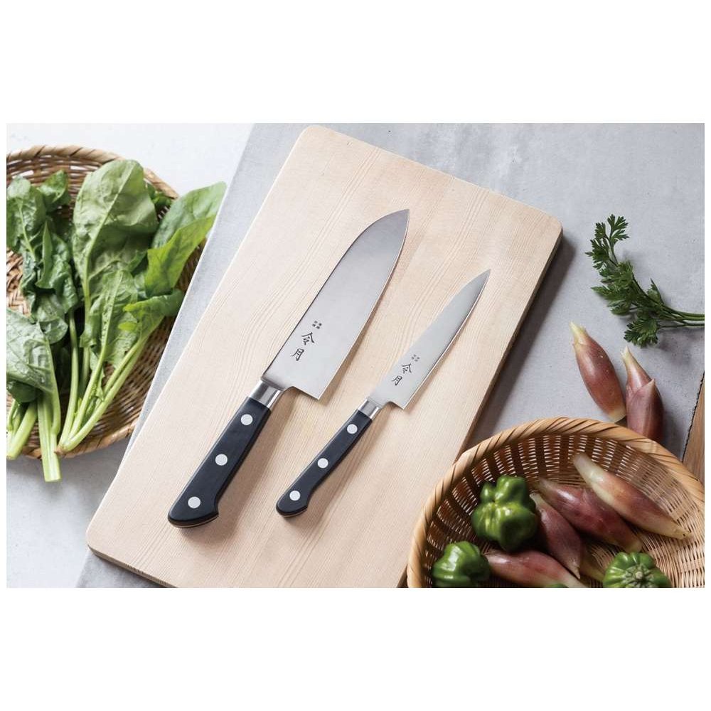 Fuji cutlery Boning Knife 15 cm Reigetsu FC-1042