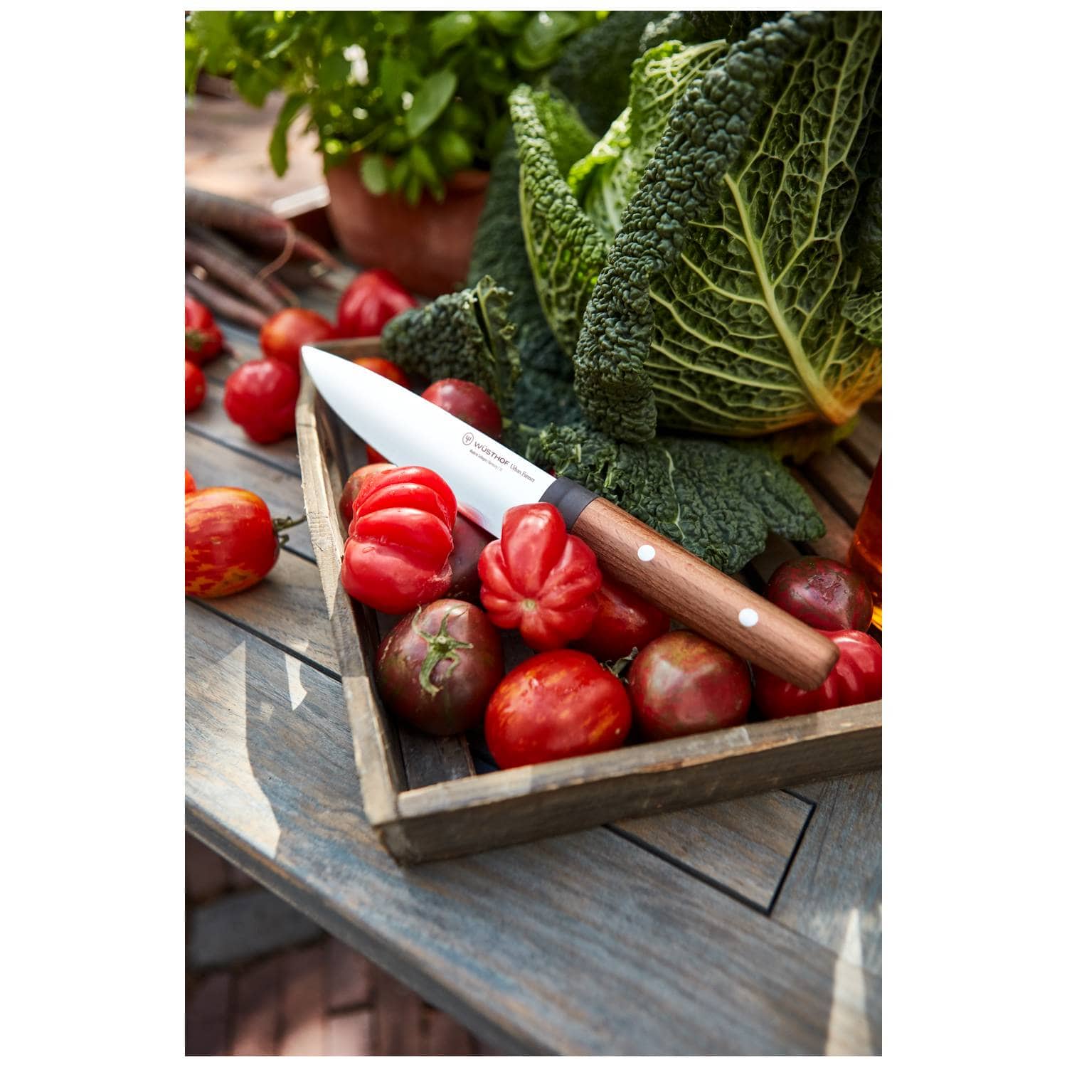 Wusthof Chef's Knife 16 cm Urban Farmer 1025244816
