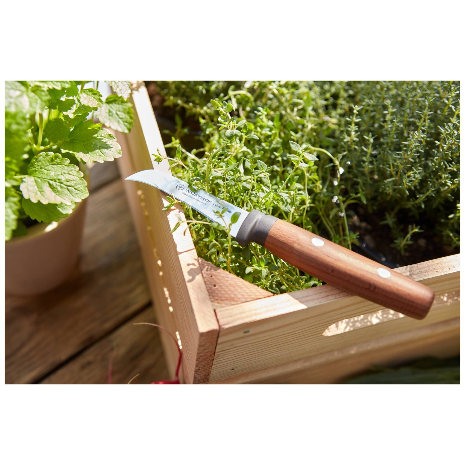 Wusthof Serrated Cold Cuts Knife 14 cm Urban Farmer 1025246314
